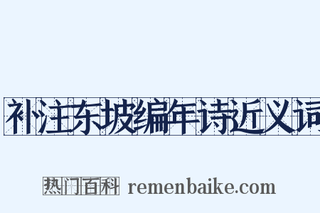补注东坡编年诗近义词是什么意思的图片